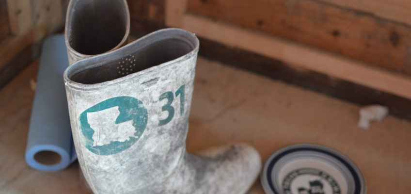 From Farmhouse to Bayou