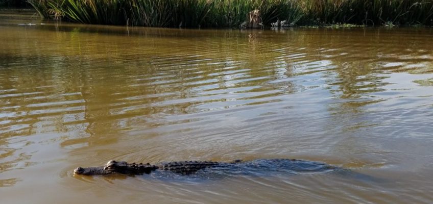 7 outdoor adventures in Louisiana you’ve probably never considered